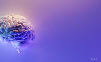 représentation du cerveau sur un fond violet et bleu