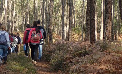 Diplôme d'Établissement "Ingénierie Écologique et Adaptation au Changement Climatique"