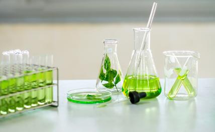 Chimie verte 