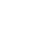 cerveau